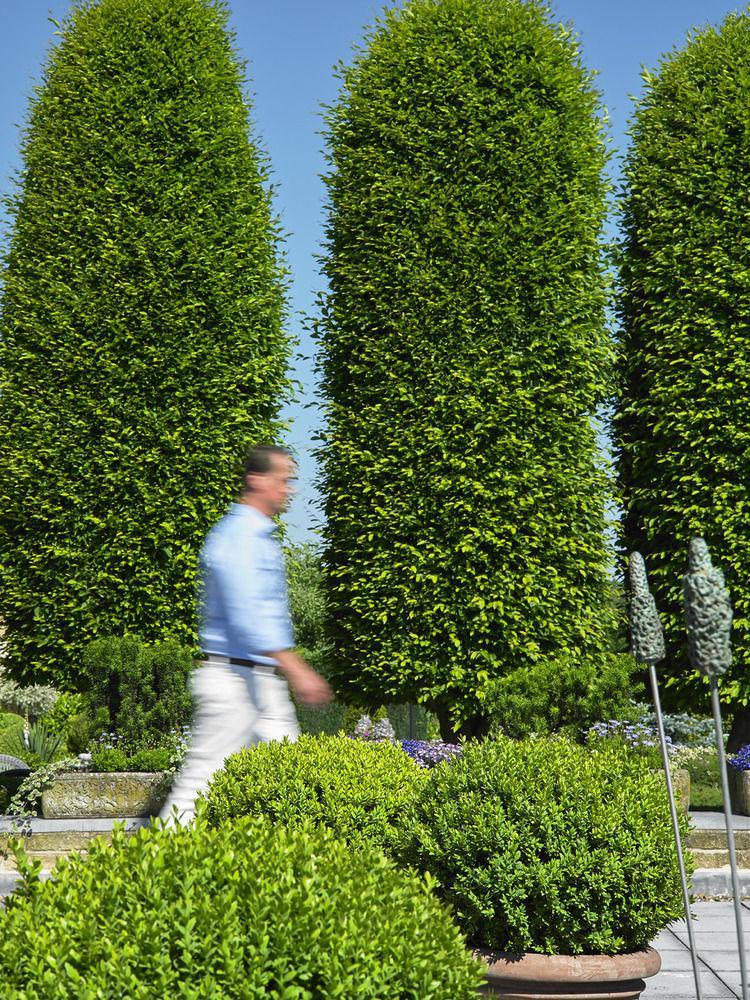Romantik Parkhotel Het Gulpdal Slenaken Esterno foto